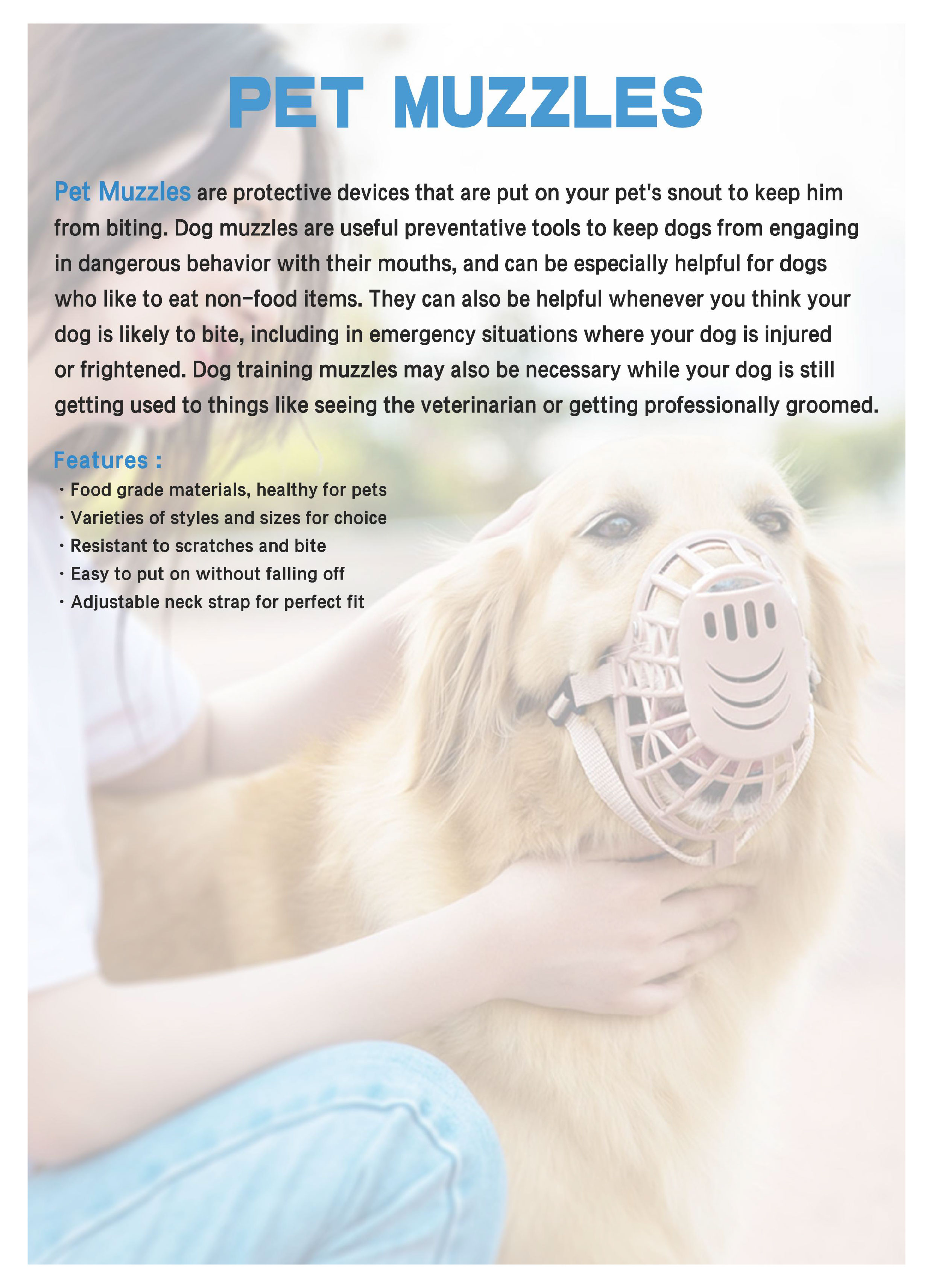 image010(001) image010(001)